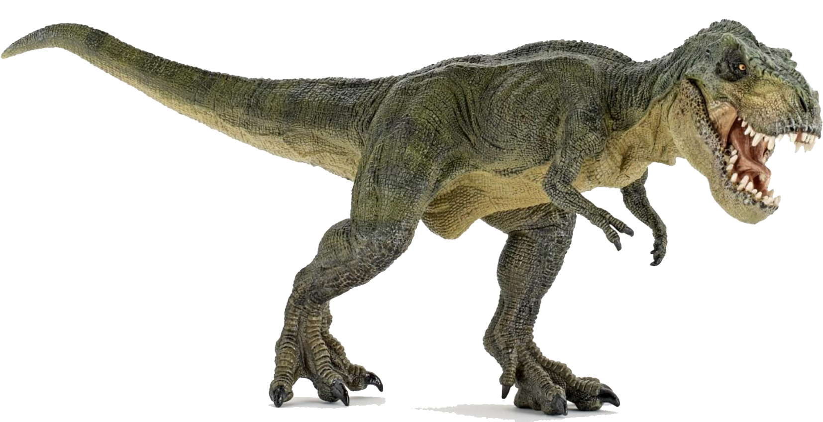 Dinosaur Png Clipart Transparent PNG Image