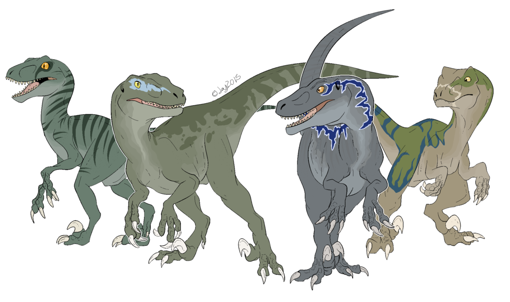 Velociraptor Dinosaur Park Drawing Jurassic Download HD PNG Transparent PNG Image