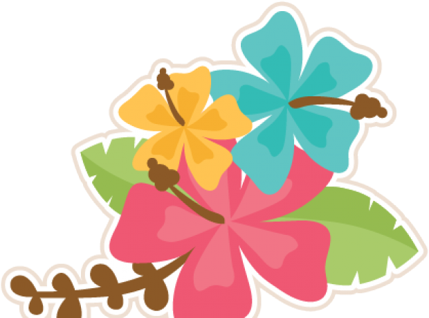 Moana PNG Free Photo Transparent PNG Image