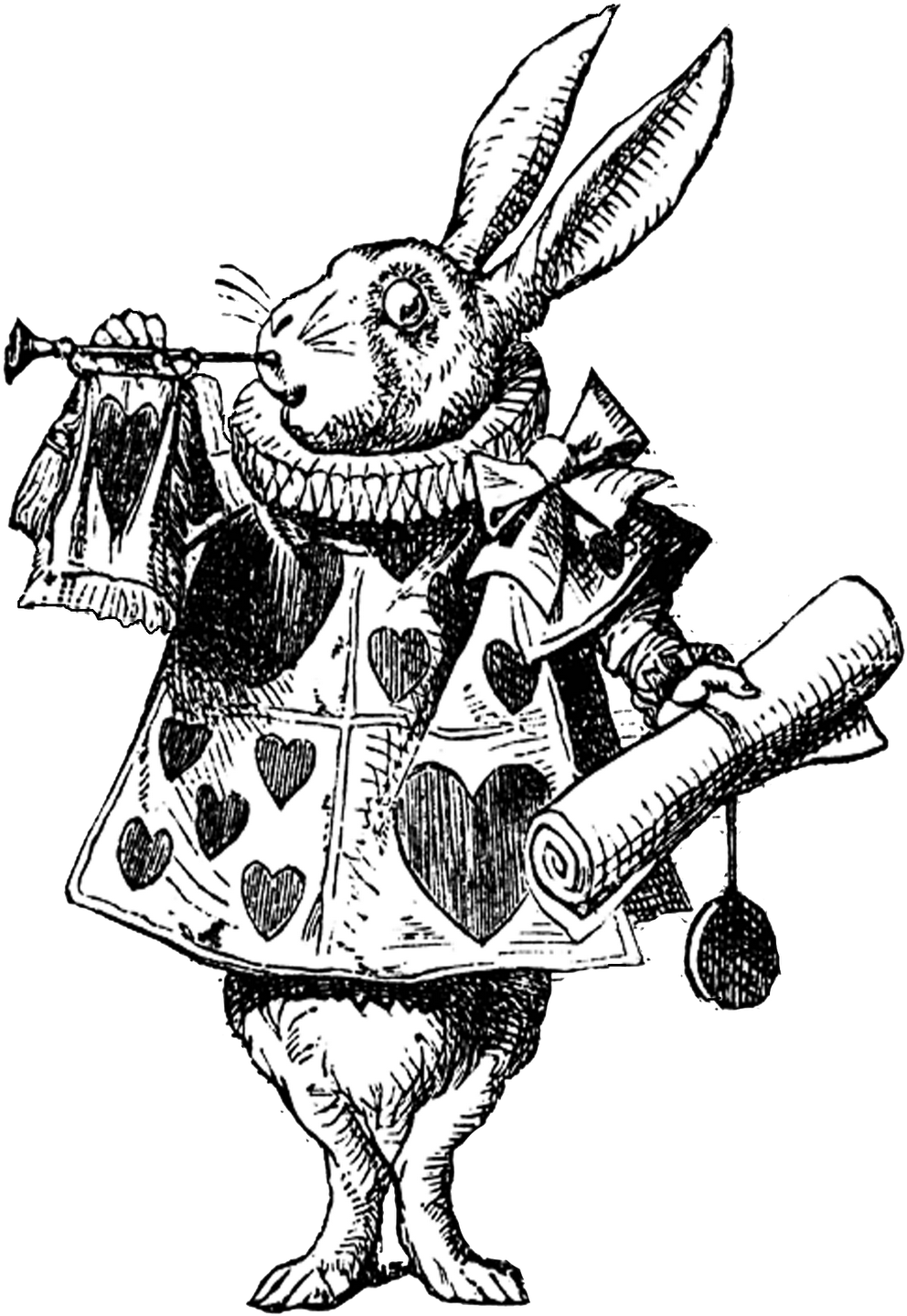 Wonderland Alice Rabbit In Free Download PNG HD Transparent PNG Image