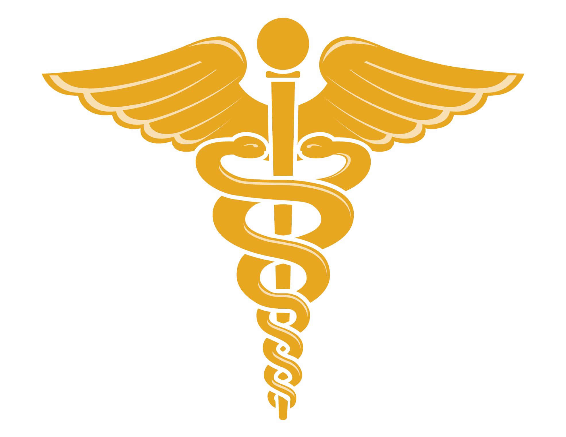 Doctor Symbol Caduceus Png File Transparent PNG Image