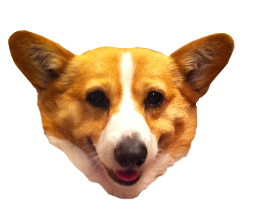 Cute Dog Corgi HQ Image Free Transparent PNG Image