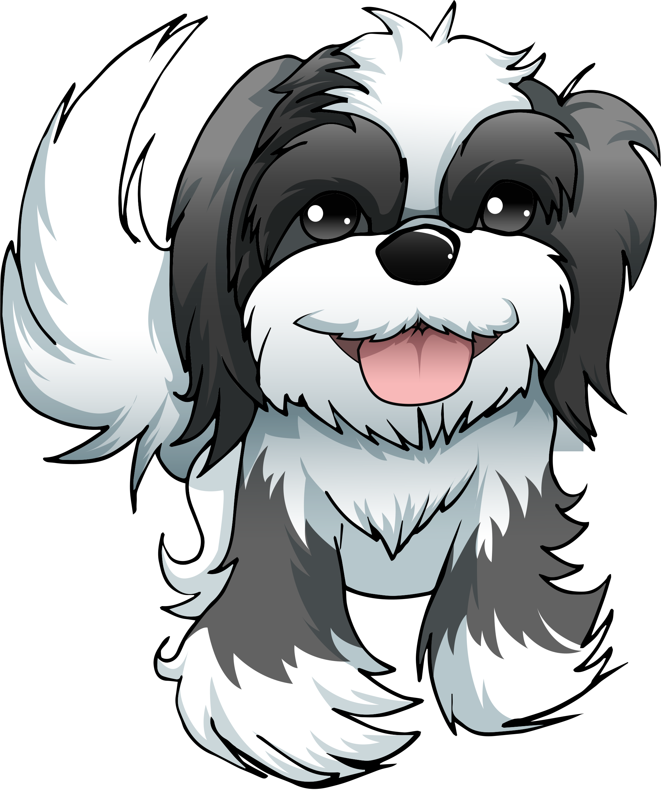 Shih Pic Tzu Free HQ Image Transparent PNG Image