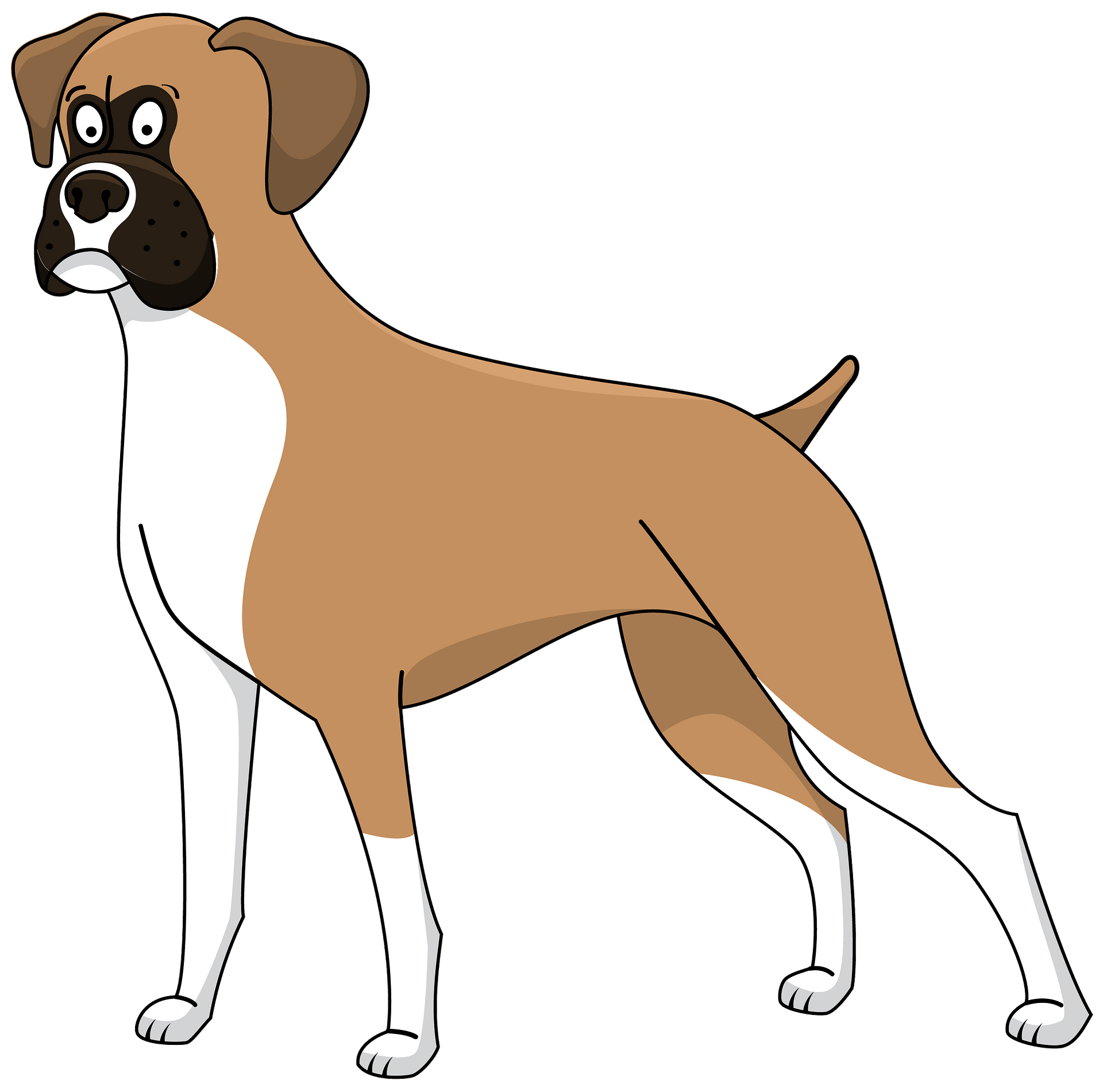 Boxer Dog Free HQ Image Transparent PNG Image