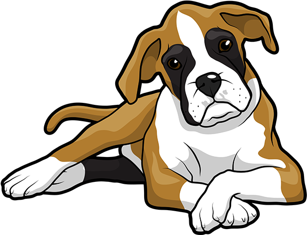 Boxer Dog Sitting Download HQ Transparent PNG Image