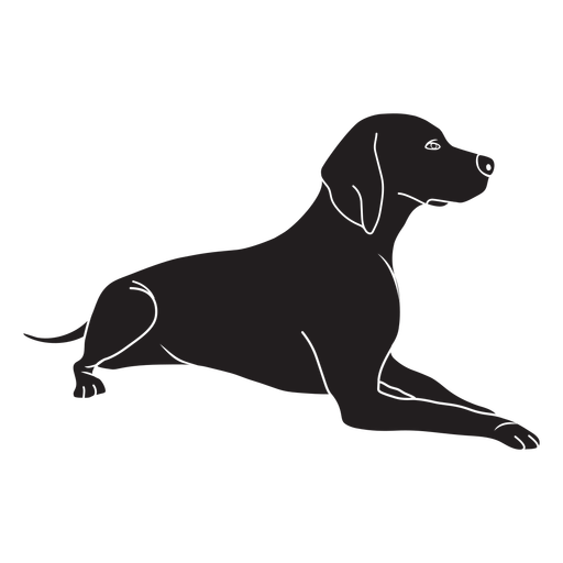 Dog Black Labrador Sitting Download HQ Transparent PNG Image