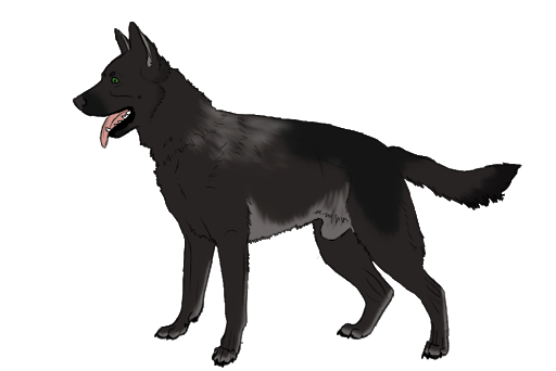 Vector Black Dog Download Free Image Transparent PNG Image