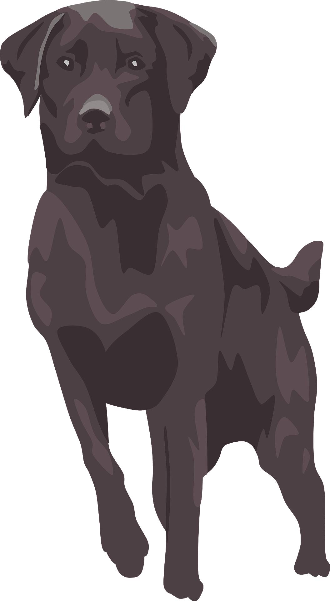 Vector Black Labrador Dog Free Clipart HQ Transparent PNG Image