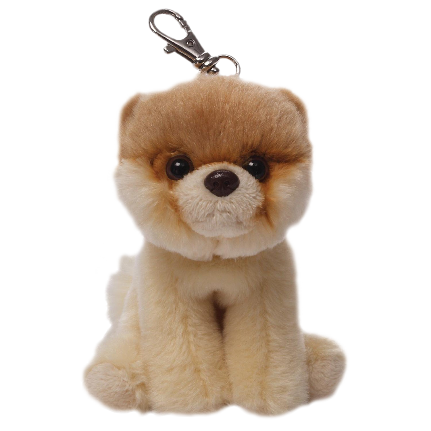 Boo Dog Image Transparent PNG Image