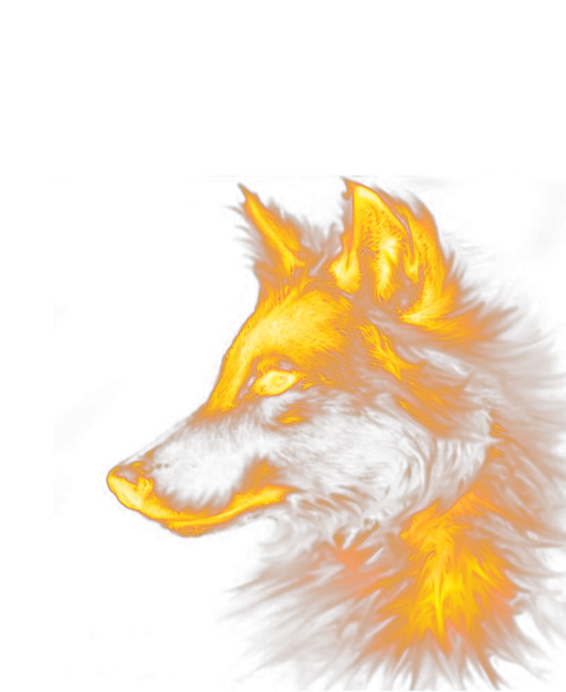 Fox Dog Wolf Red Special Effects Transparent PNG Image