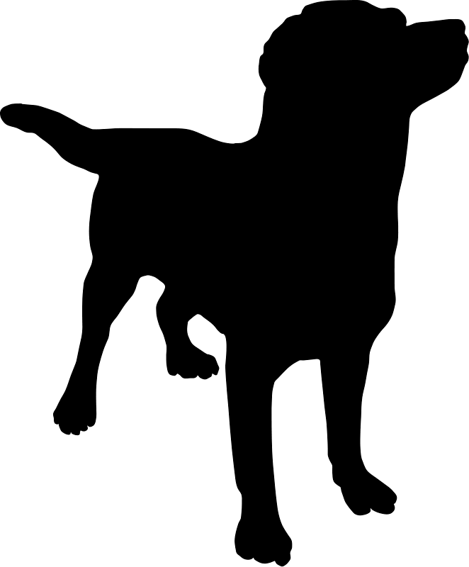 Dog Png Image Picture Download Dogs Transparent PNG Image