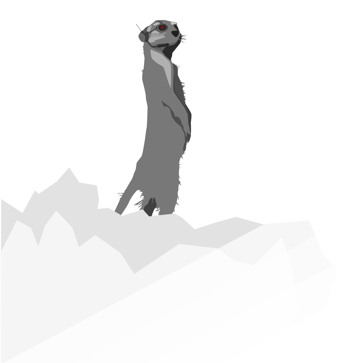 Mammal Dog Cat Free Photo PNG Transparent PNG Image