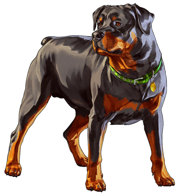 Andreas San Auto Grand Dog Theft Online Transparent PNG Image