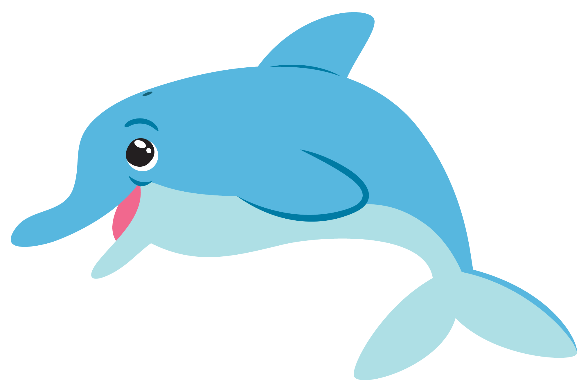 Dolphin Picture Transparent PNG Image