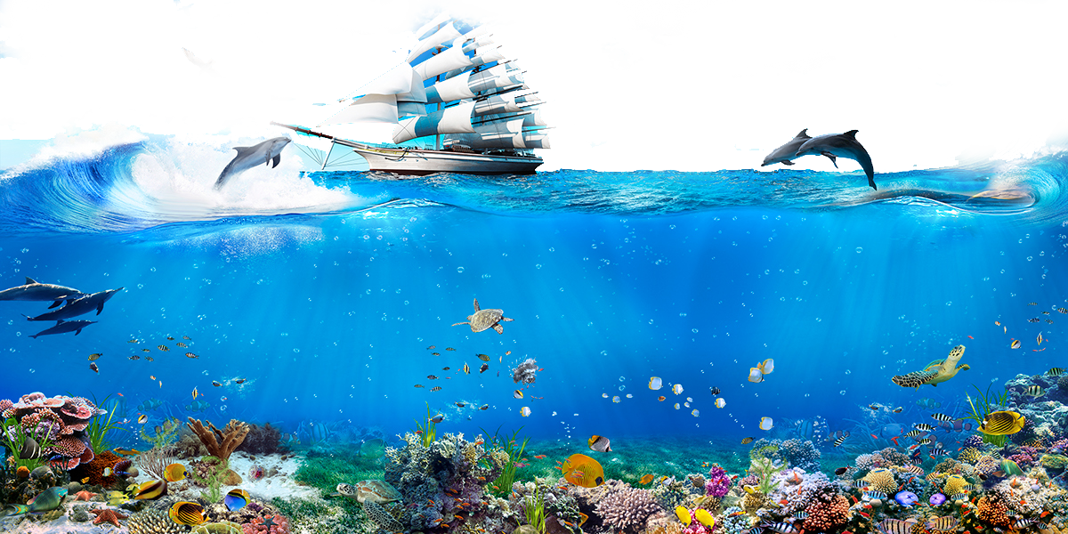 Underwater Wallpaper Sailing Singapore Dolphin World Android Transparent PNG Image