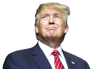 Donald Trump Png Transparent PNG Image