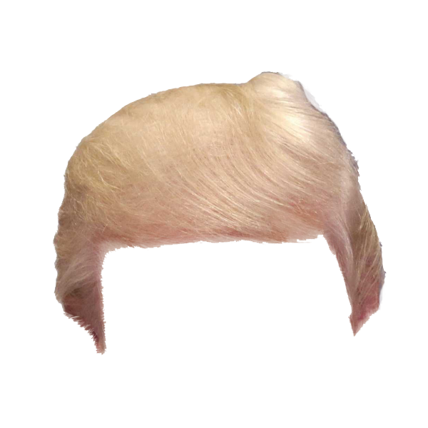 Wig Again Great Snout Make Hair America Transparent PNG Image