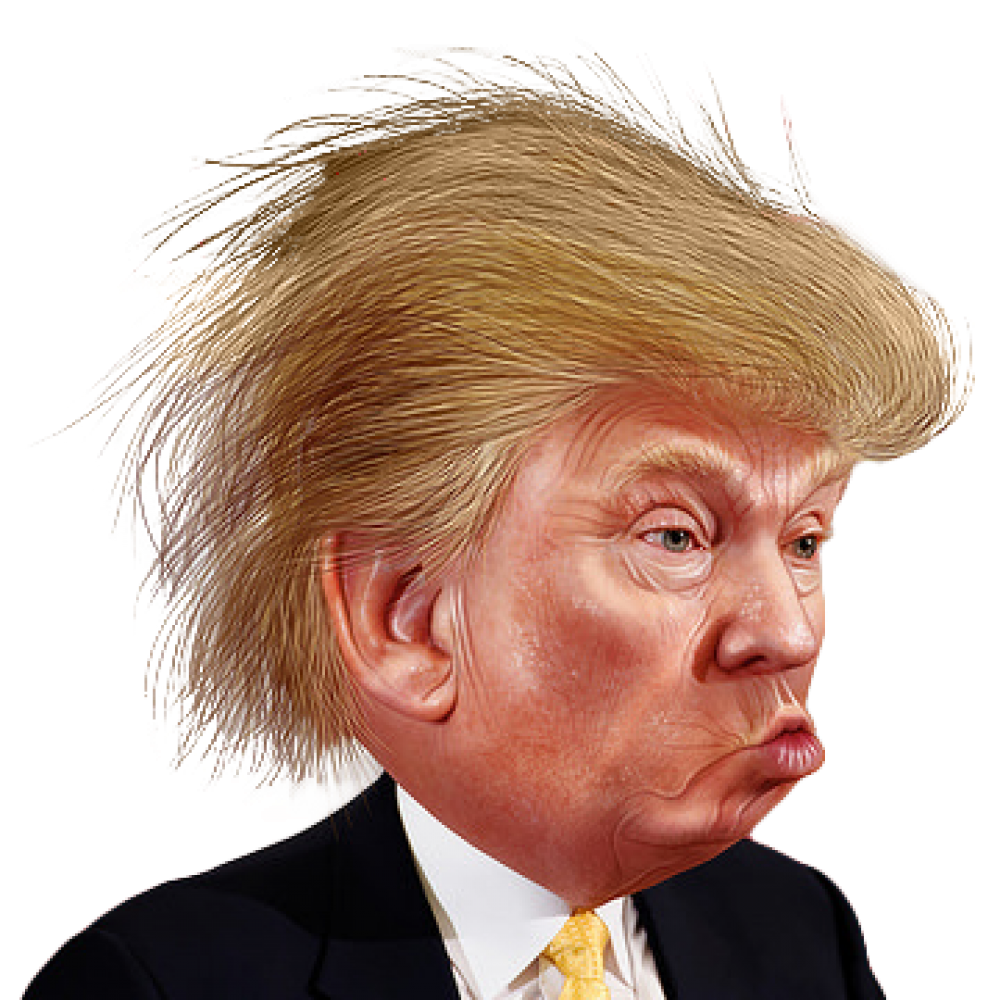 Funny Caricature Trump Color Face Hair Donald Transparent PNG Image