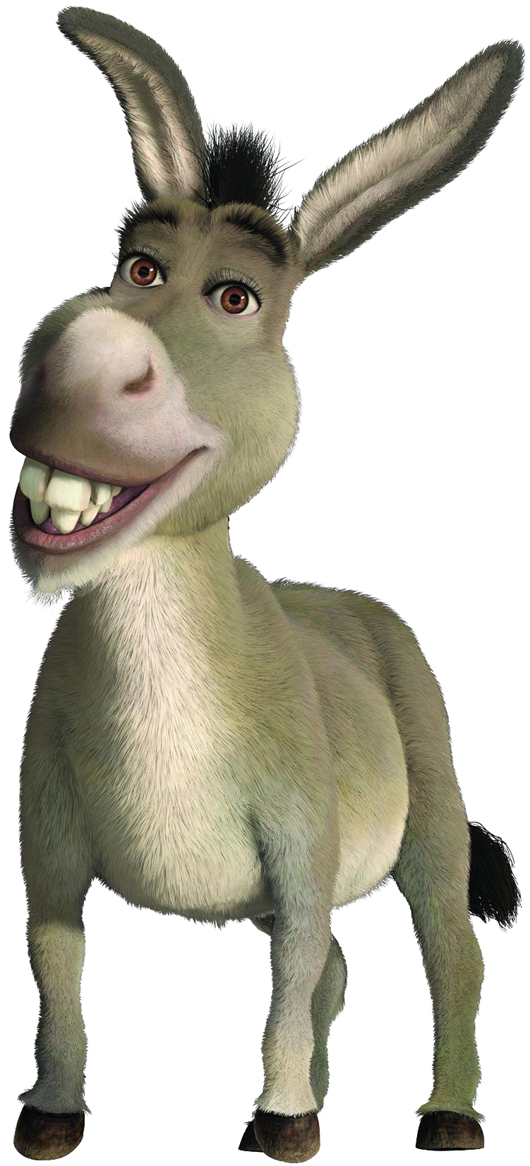 Funny Donkey Free Clipart HD Transparent PNG Image