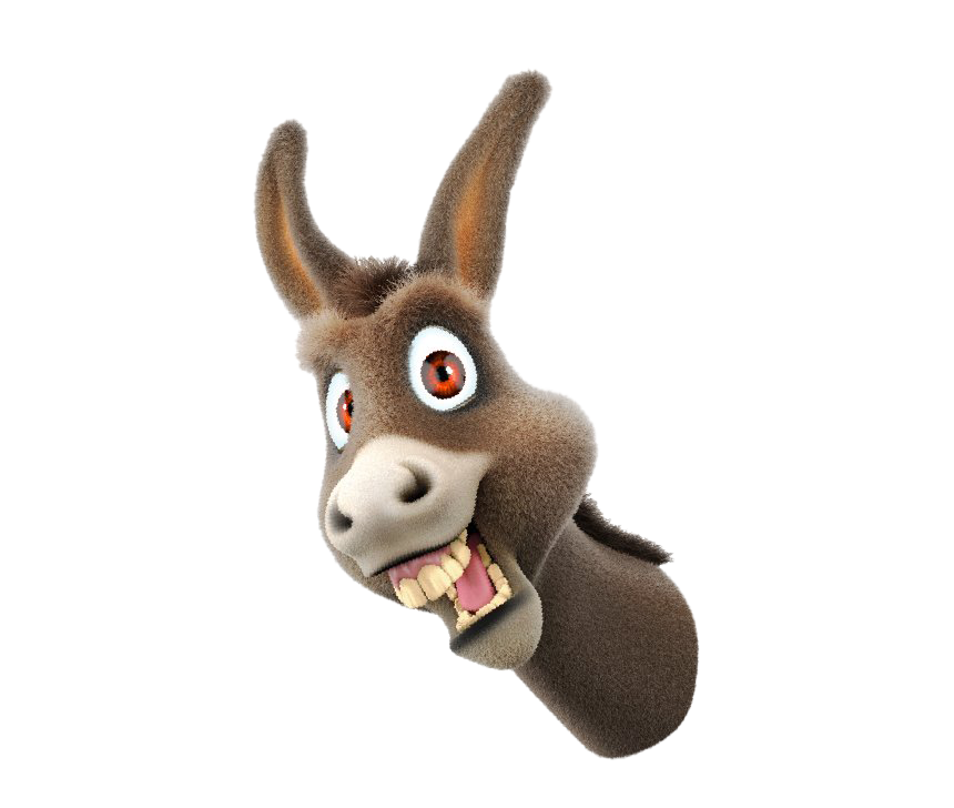 Funny Donkey Photos PNG File HD Transparent PNG Image