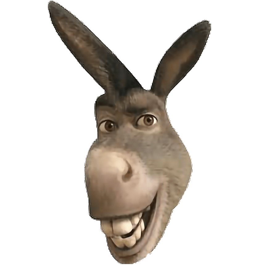 Funny Donkey Download Free Image Transparent PNG Image