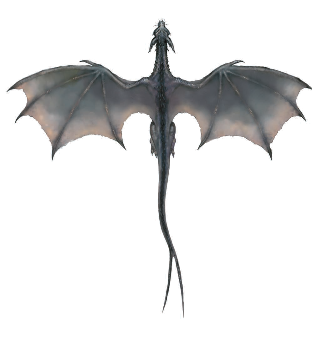 Flying Dragon Transparent Transparent PNG Image