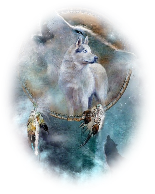 Gray United Dreamcatcher Blanket States Wolf In Transparent PNG Image