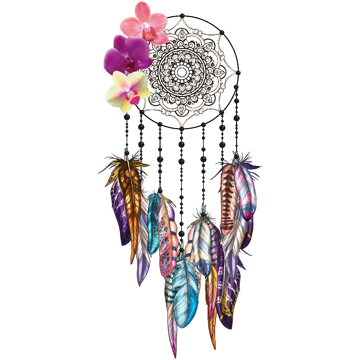 Wall Sticker Dreamcatcher Decal Orchids Free HQ Image Transparent PNG Image