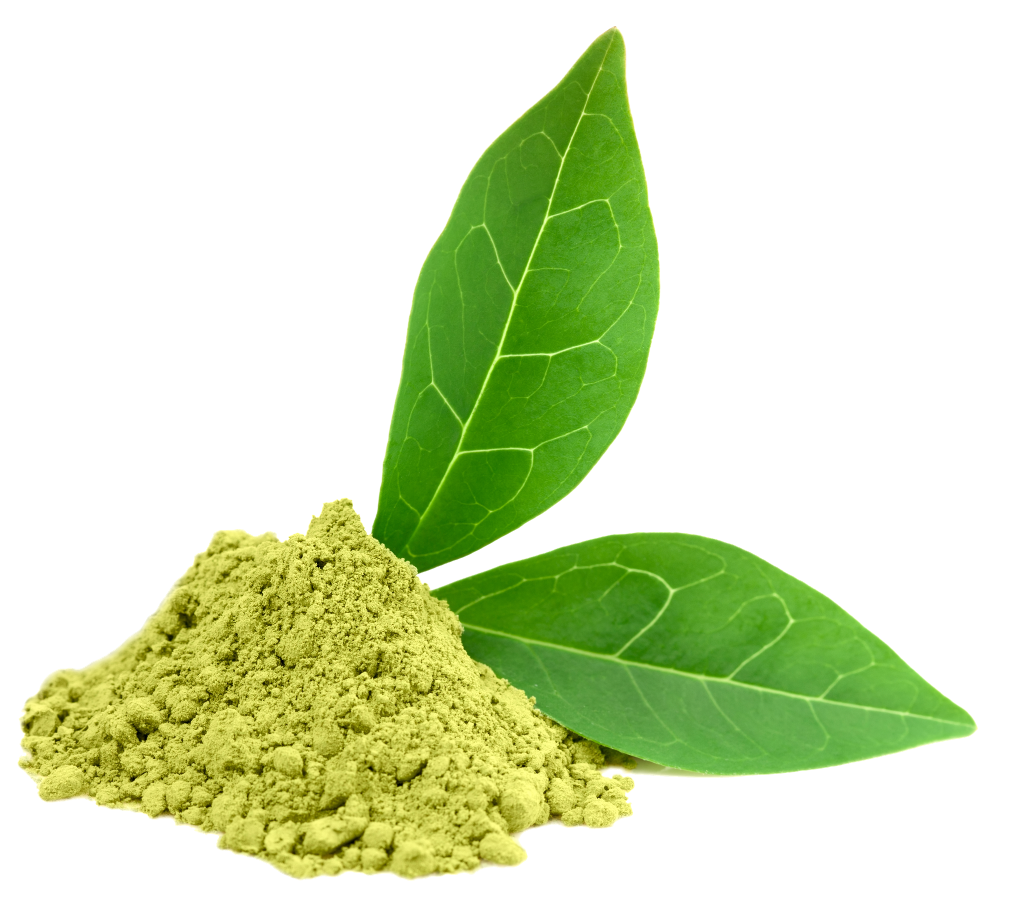 Tea Leaves Green PNG Free Photo Transparent PNG Image