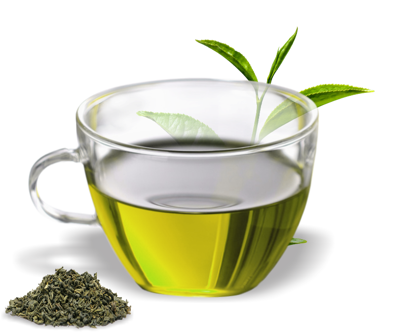 Organic Mint Green Tea HD Image Free Transparent PNG Image