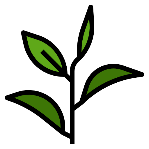 Tea Leaves Green Stem Free HQ Image Transparent PNG Image