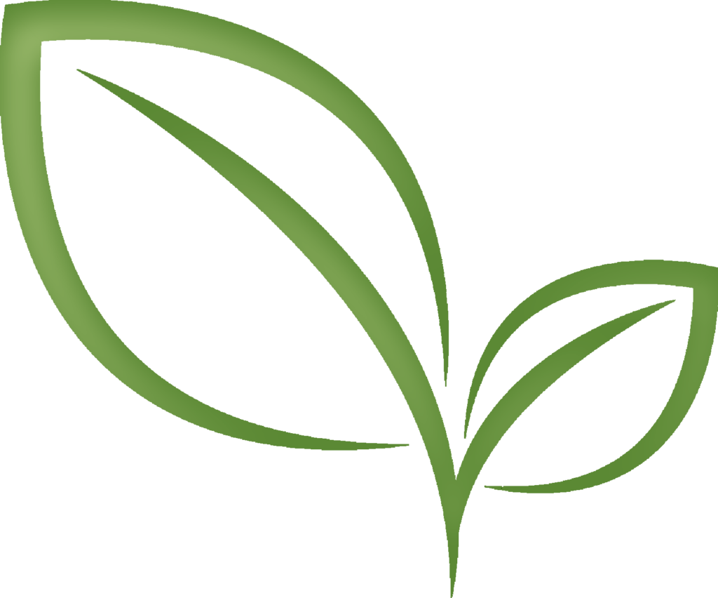 Tea Leaves Vector Green Free HQ Image Transparent PNG Image