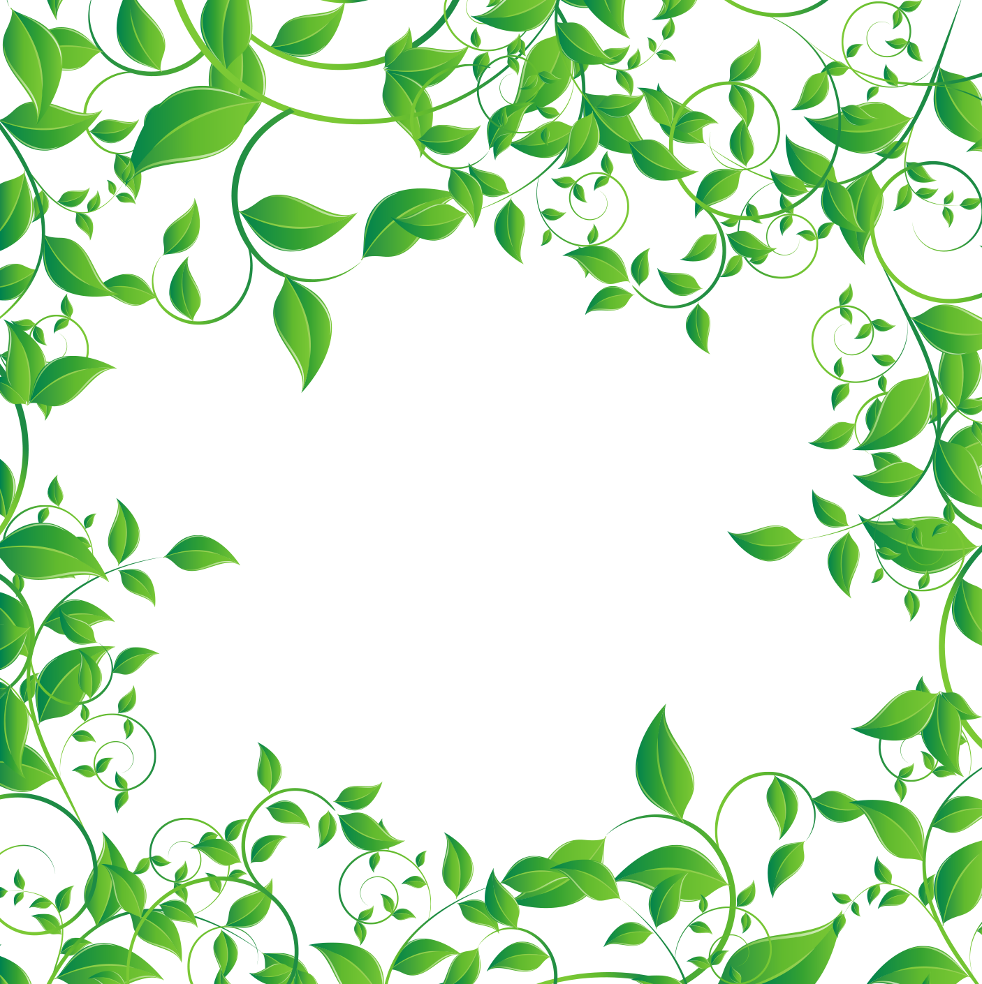 Tea Leaves Vector Green Photos Transparent PNG Image