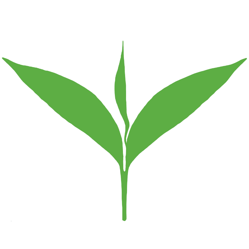 Tea Leaves Vector Green Free Transparent Image HQ Transparent PNG Image