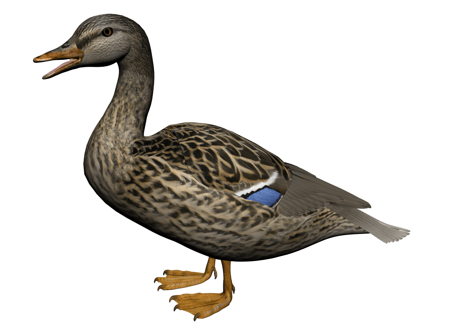 Duck Png Image Transparent PNG Image