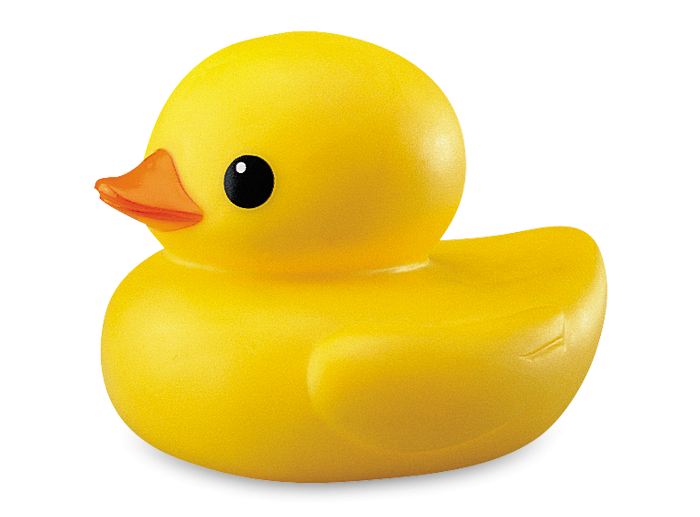 Duck Transparent Transparent PNG Image