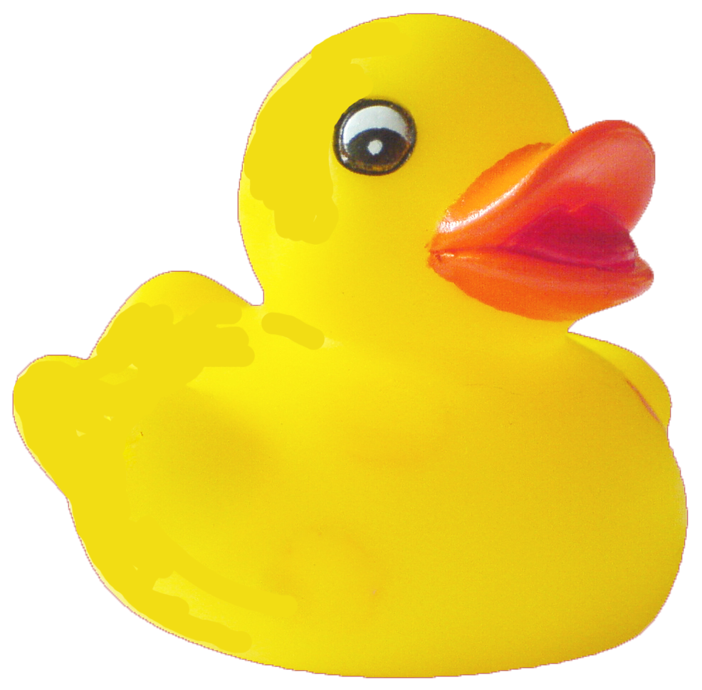 Duck Transparent PNG Image