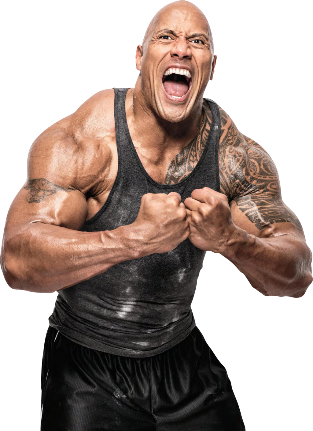 Body Dwayne Johnson PNG Image High Quality Transparent PNG Image