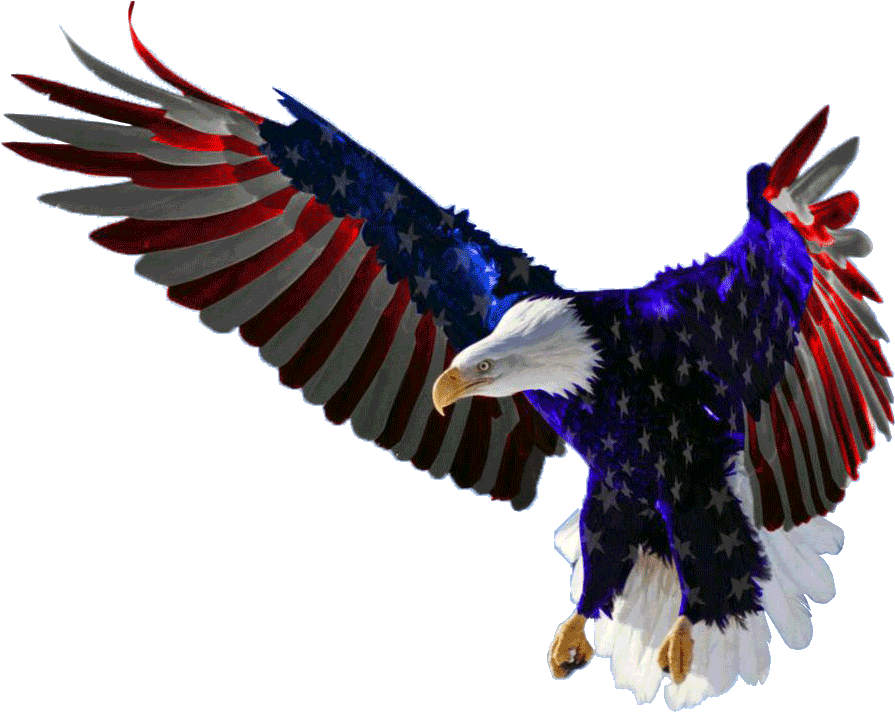 Eagle American Free Transparent Image HD Transparent PNG Image