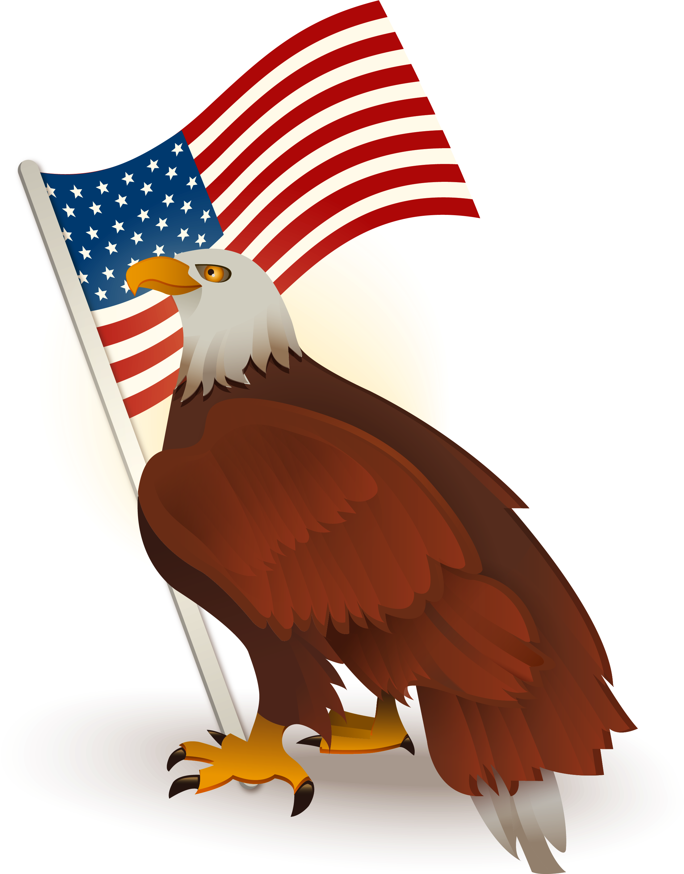 Eagle American Photos Free Transparent Image HD Transparent PNG Image