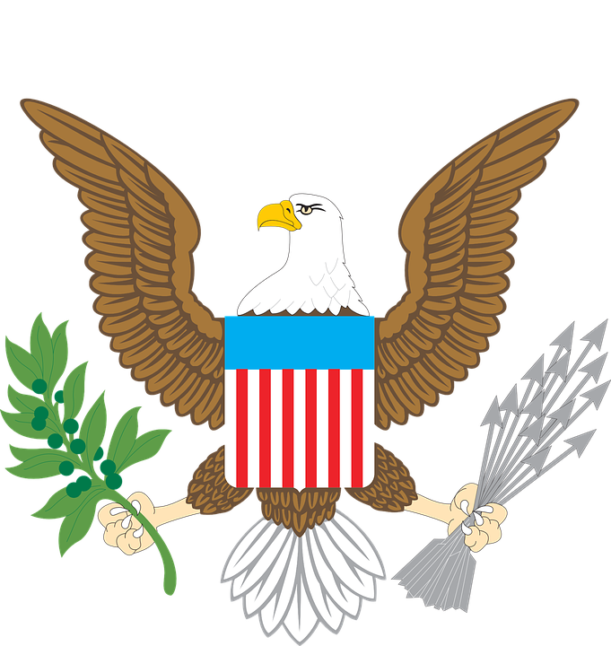 Eagle American Pic Free Download PNG HQ Transparent PNG Image