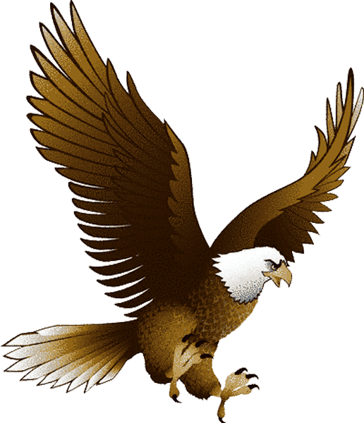 Eagle Png Image With Transparency Download Transparent PNG Image