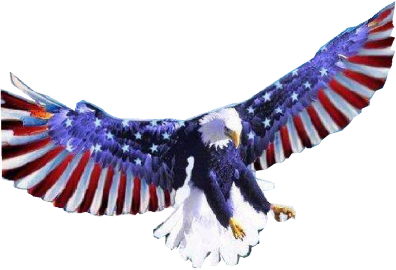 Eagle American Free Download PNG HD Transparent PNG Image