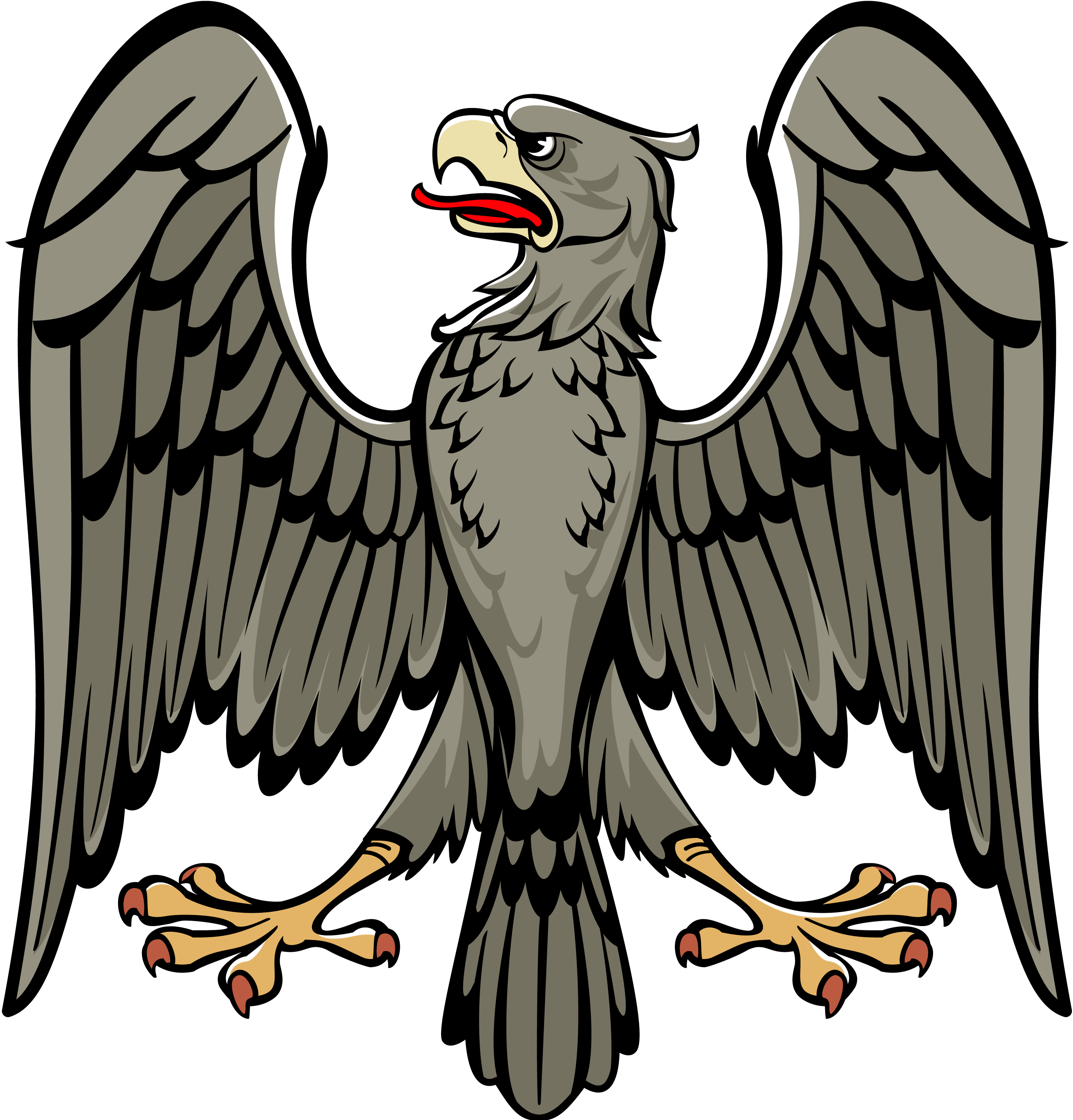 Eagle Photos Sitting Download HQ Transparent PNG Image