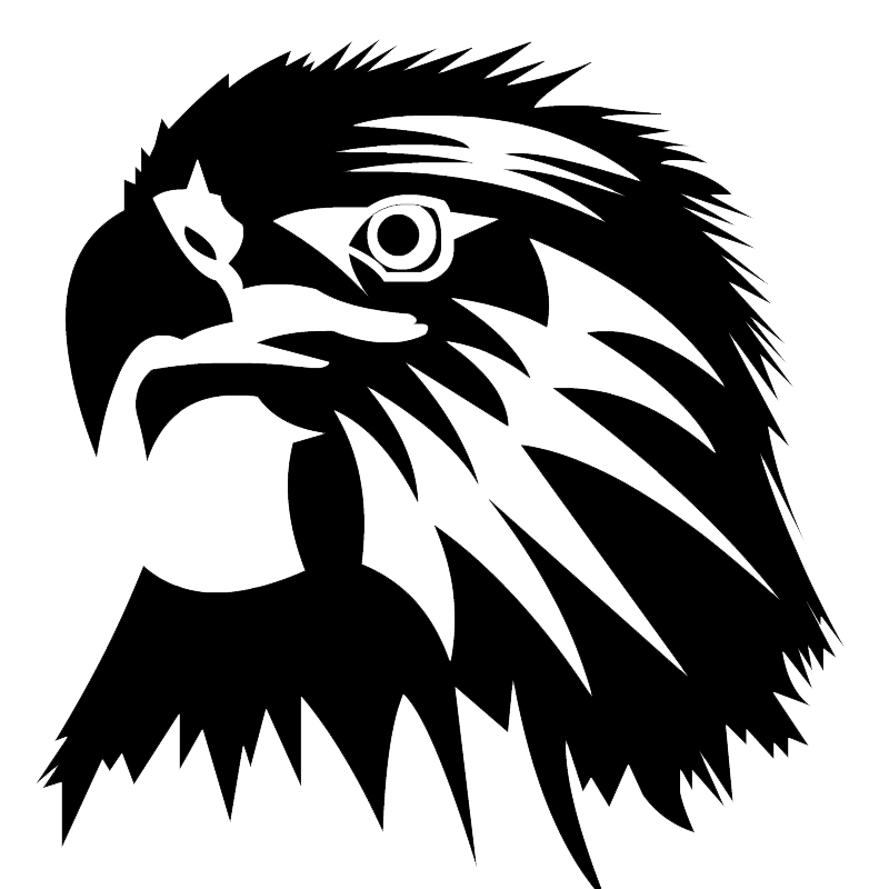 Eagle Head Image Transparent PNG Image