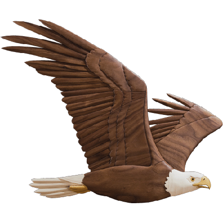 Soaring Eagle Transparent Image Transparent PNG Image