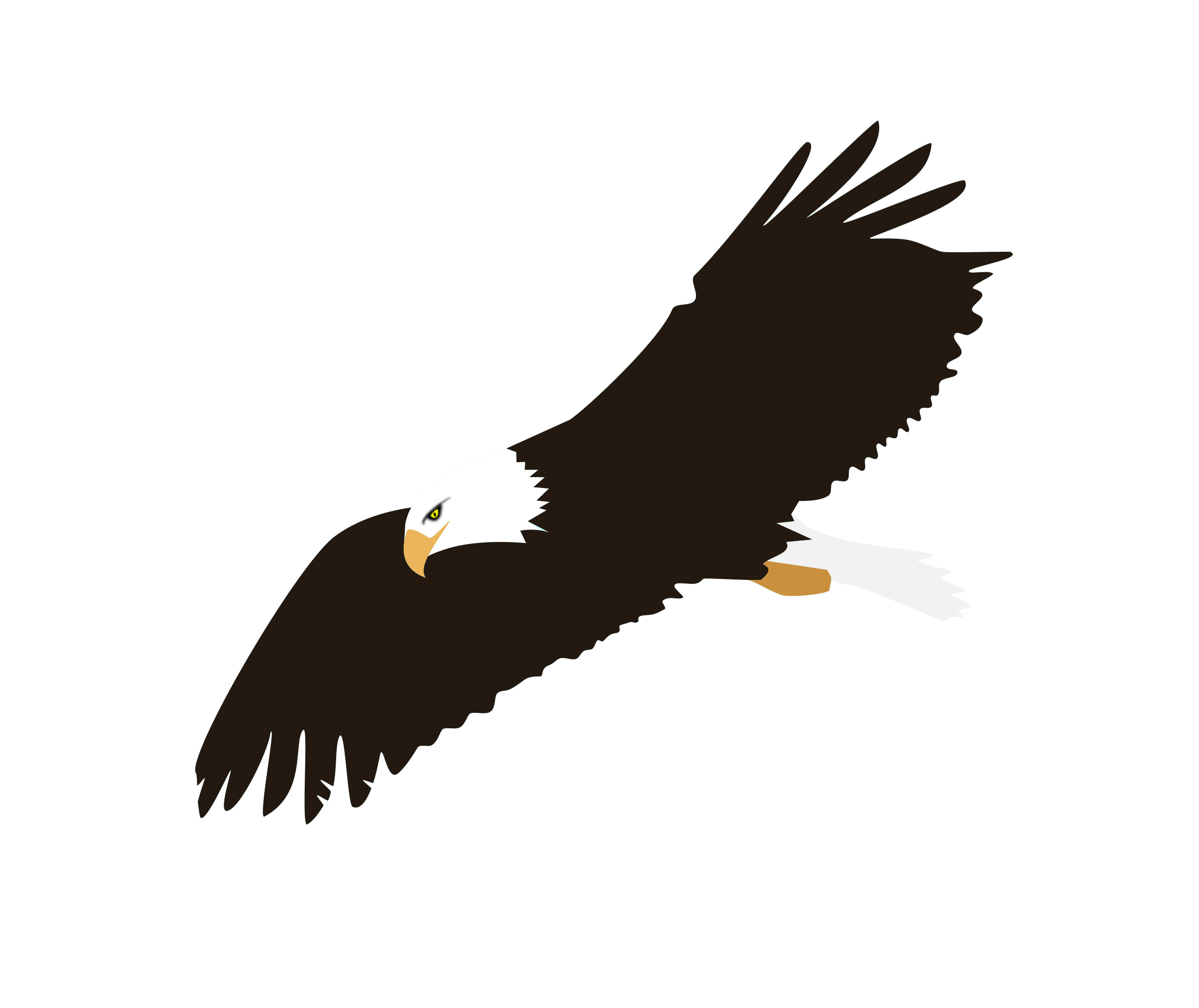 Soaring Eagle Image Transparent PNG Image