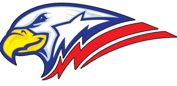 Eagle Head Transparent Image Transparent PNG Image