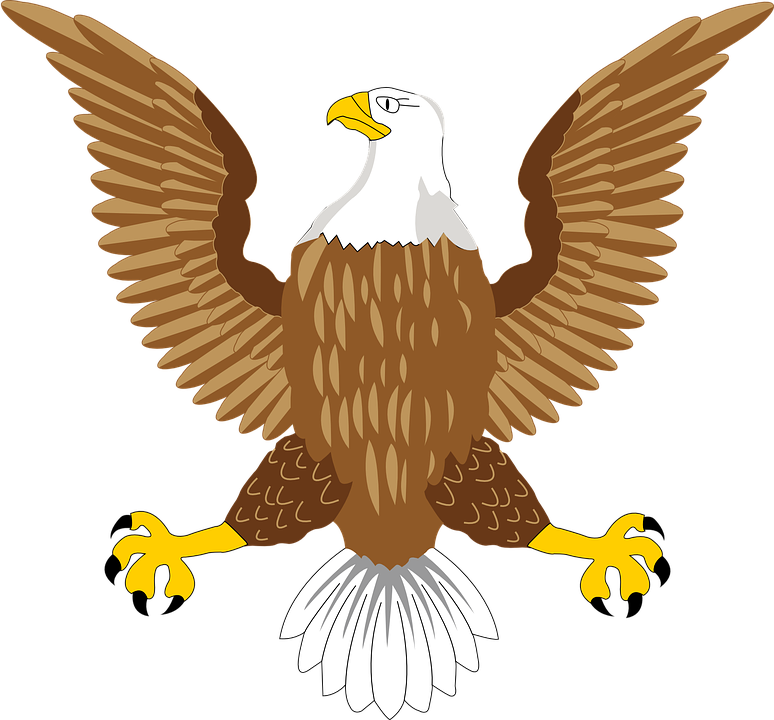 Eagle Symbol Image Transparent PNG Image