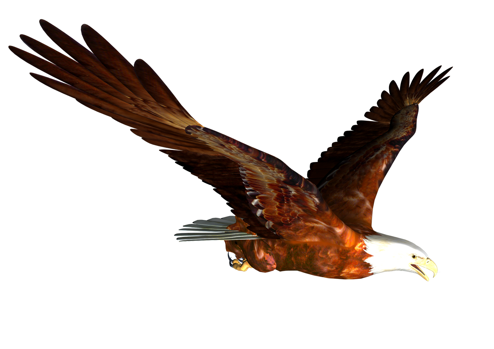 Soaring Eagle Transparent PNG Image